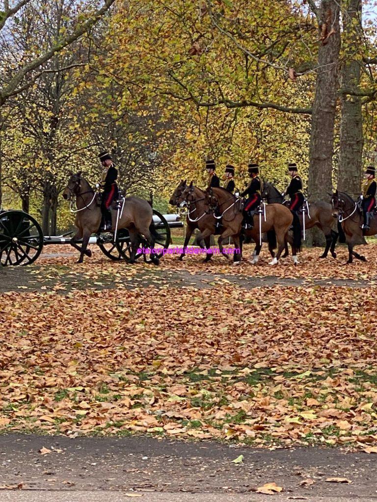 photo 2024 11 14 13 22 05 2