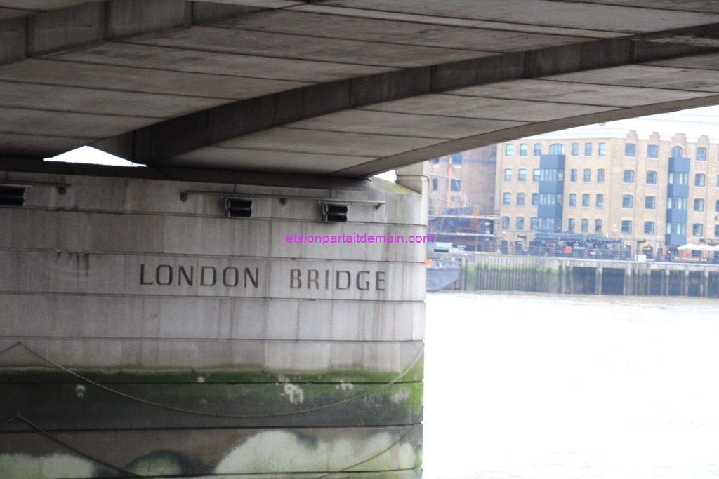 photo 2024 11 16 22 44 11